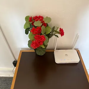 rose-view-guest-house.hotels-lisbon-portugal.com/