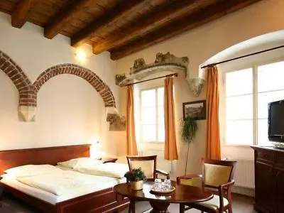 Hotel U Tri Bubnu Praga