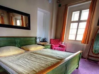 Hotel U Tri Bubnu Praga 3*,
