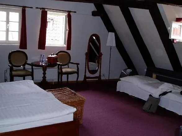 Hotel U Tri Bubnu Praga 3*,
