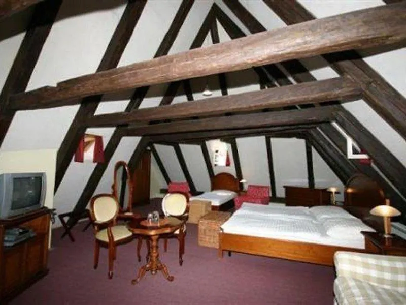 Hotel U Tri Bubnu Praga