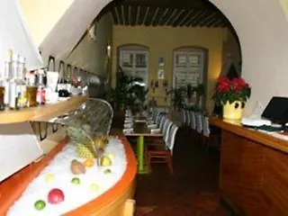 Hotel U Tri Bubnu Praga