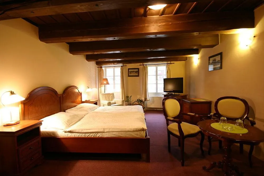Hotel U Tri Bubnu Praga