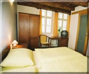 Hotel U Tri Bubnu Praga