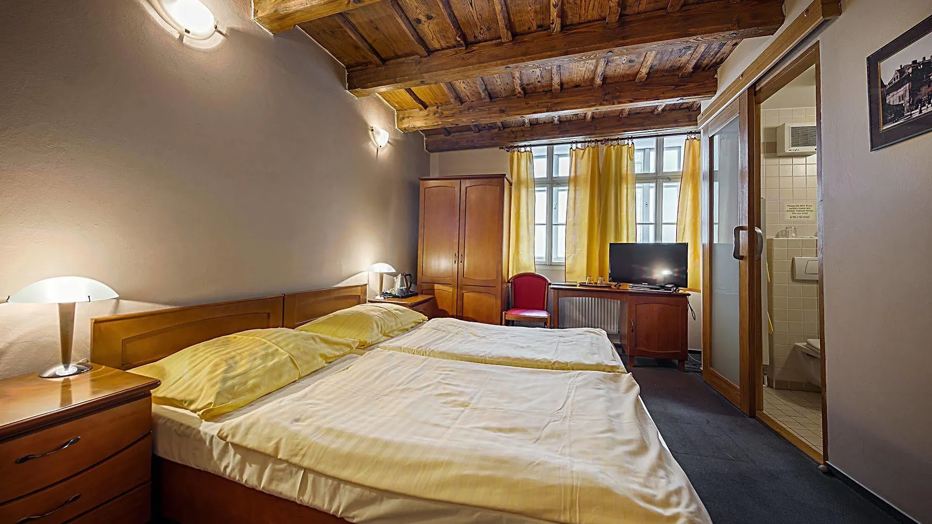 Hotel U Tri Bubnu Praga